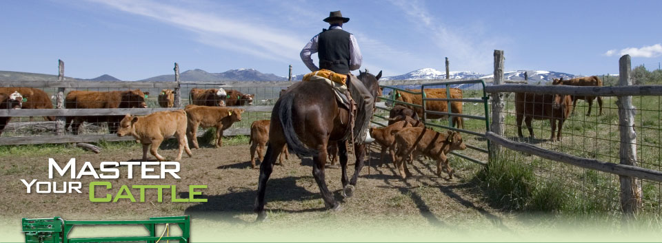 Cow Boy